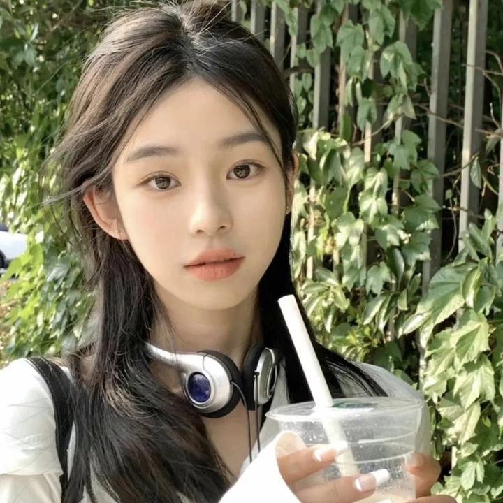 海豚的故事2